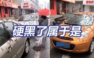 Download Video: 造谣中国还有鼻子有眼的：美媒称中国遍地杨树花是遭虫雨袭击