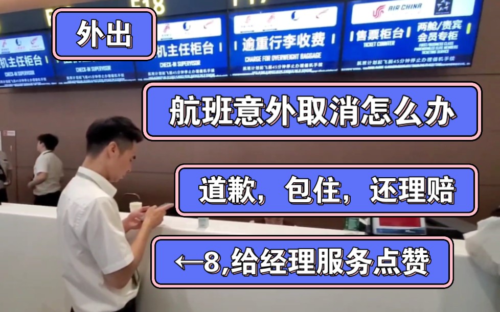 外出 航班取消 经理人好
