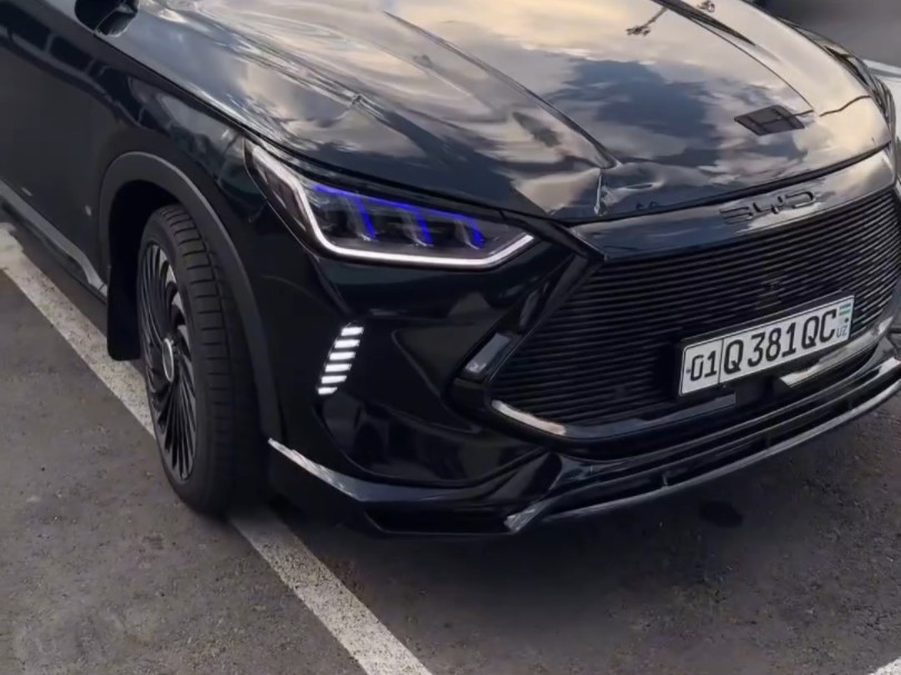 老外的改装比亚迪宋plus轮毂,低趴