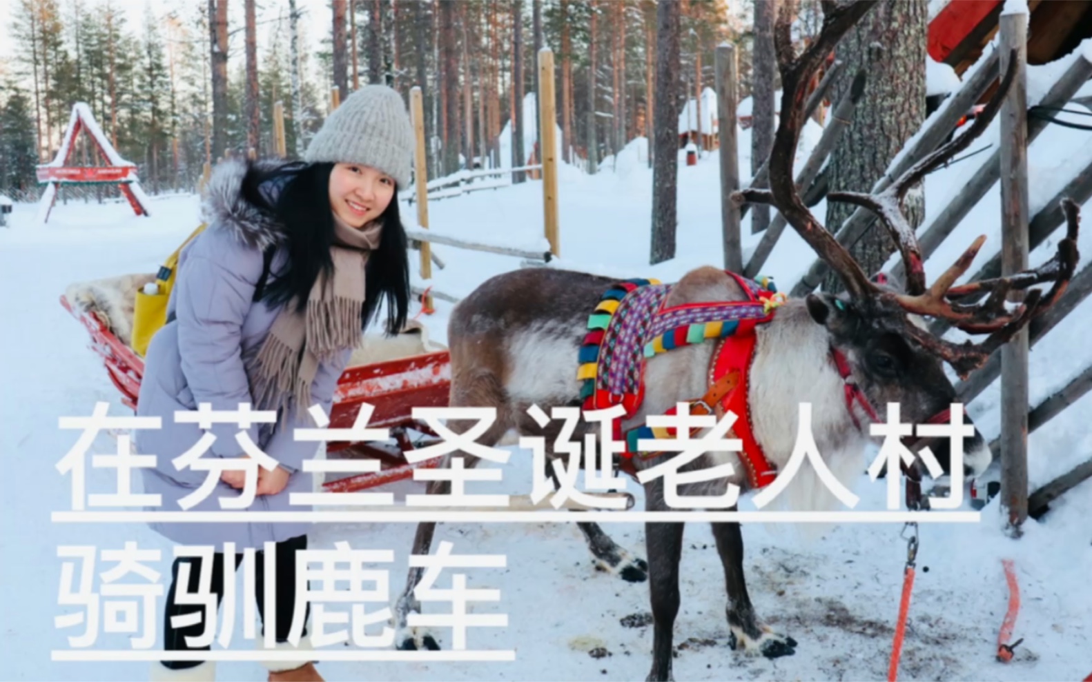 在芬兰圣诞老人村坐驯鹿雪橇车哔哩哔哩bilibili