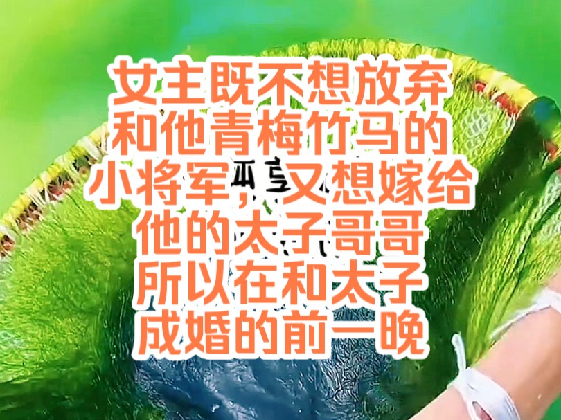 [图]《陌上心思》女主既不想放弃和他青梅竹马的小将军，又想嫁给他的太子哥哥，所以在和太子成婚的前一晚