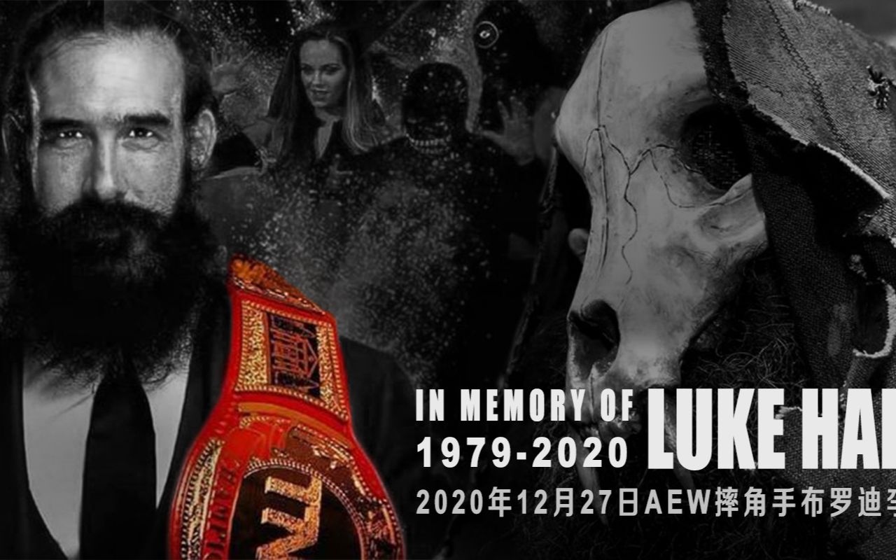 wwe人物志穿着脏背心内心却无比纯洁的男人再见了卢克哈勃