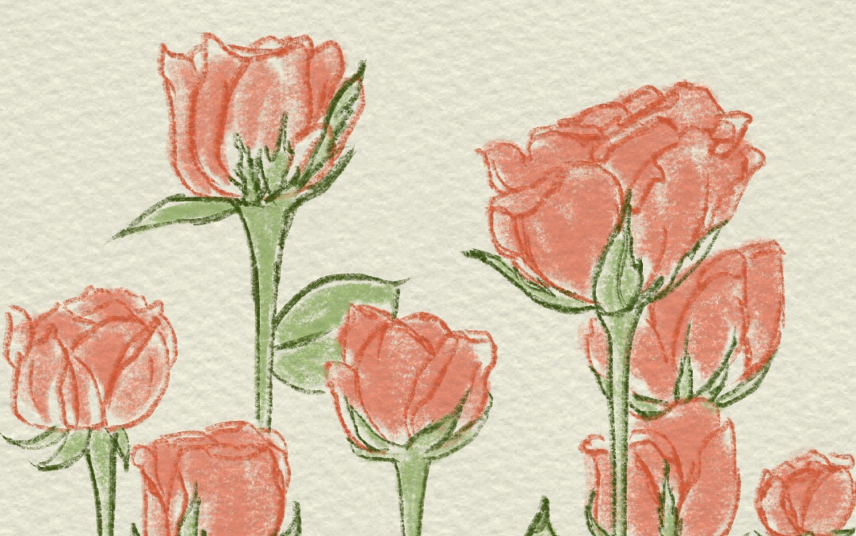 procreate绘画|玫瑰花壁纸绘画过程