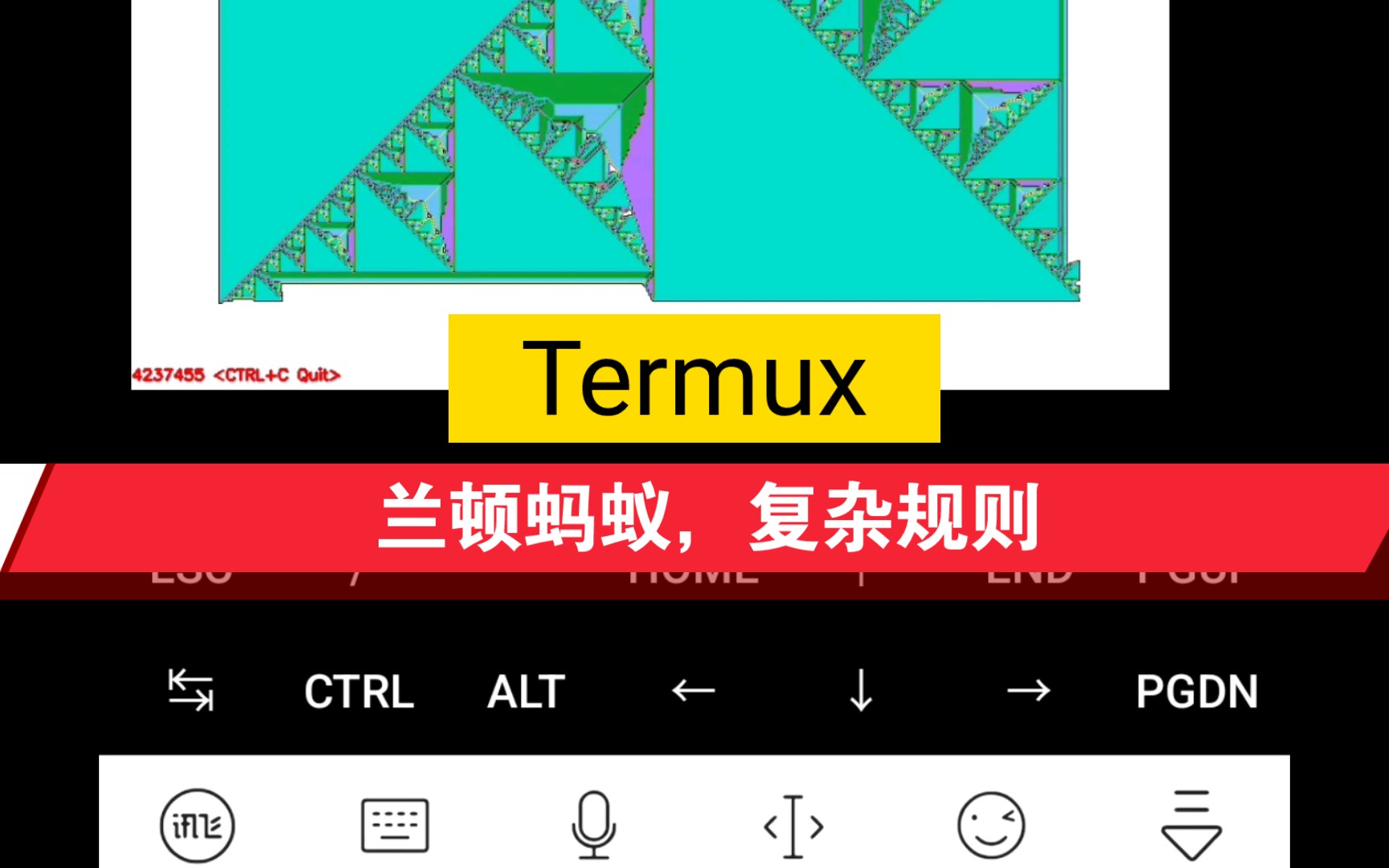 [图]【Termux】 兰顿蚂蚁，复杂规则