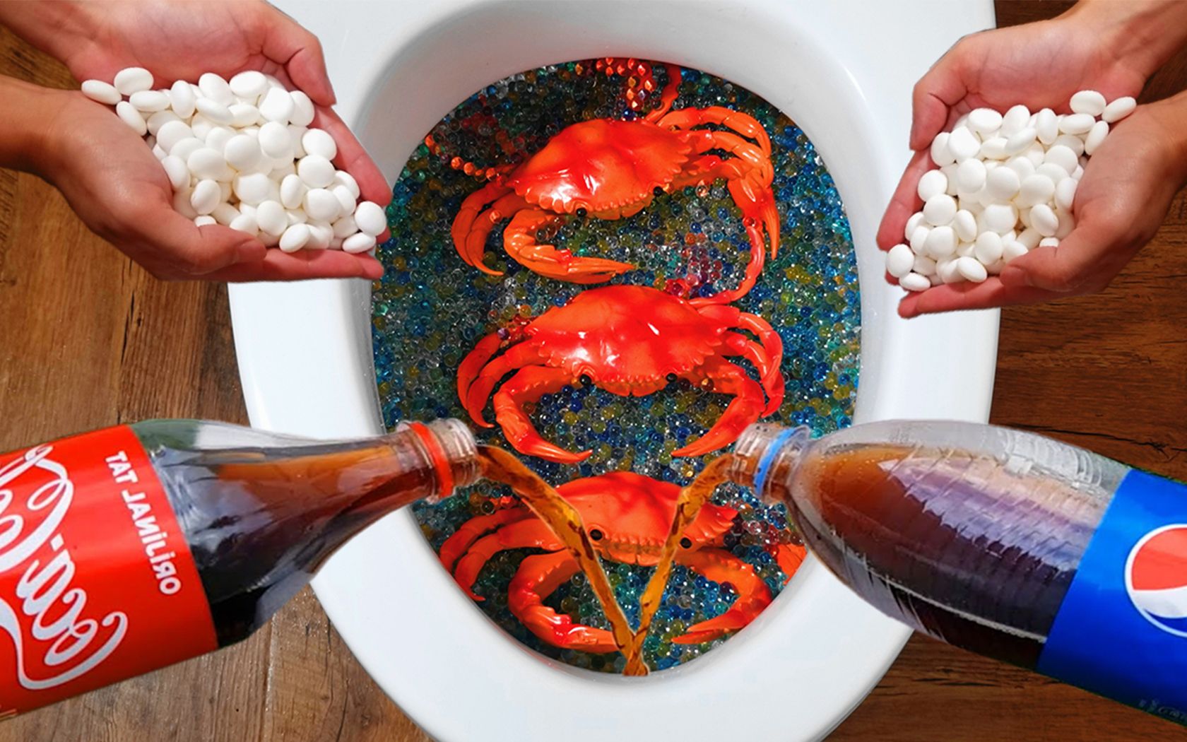 这个实验太牛了:把螃蟹放进马桶,再倒入可乐和曼妥思会发生什么,超级