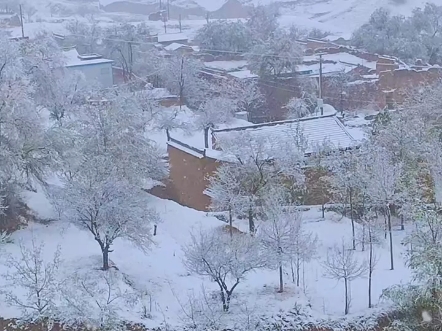 雪花飘落,白茫茫一片,农村的冬天呈现出宁静而唯美的景象. ＂我的家乡下雪了 ＂最美不过家乡的雪景 ＂我的家乡美丽的小村庄哔哩哔哩bilibili