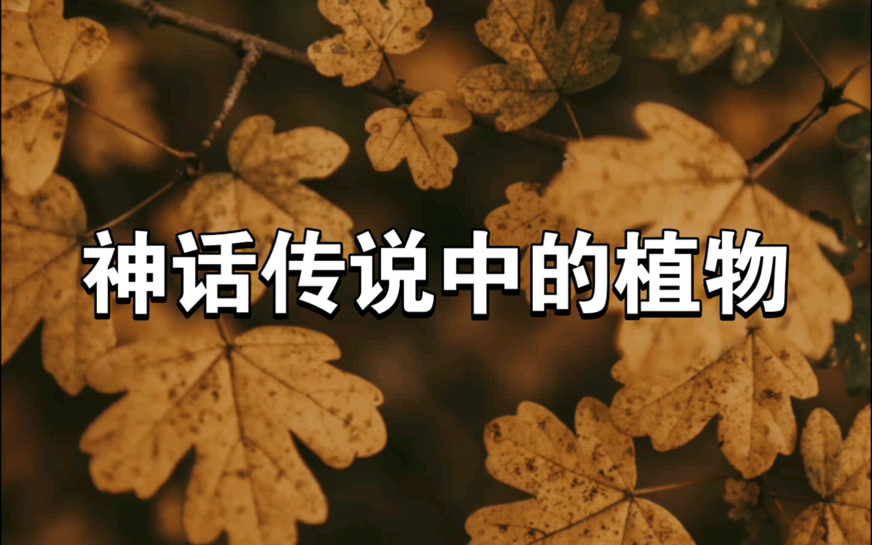 那些神话传说中的植物名字有多美哔哩哔哩bilibili