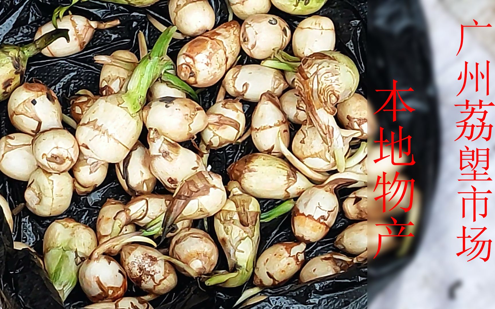 广州荔塱市场本地自种物产多珠三角特色