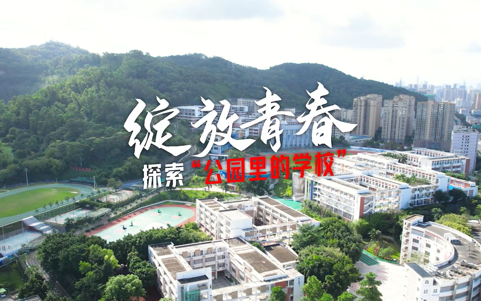 绽放青春,探索“公园里的学校”——深圳市桃源居中澳实验学校哔哩哔哩bilibili