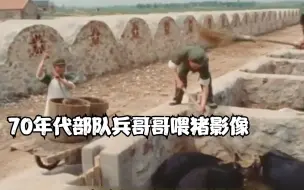 Download Video: 70年代部队兵哥哥喂猪影像，手法娴熟，猪又肥又胖