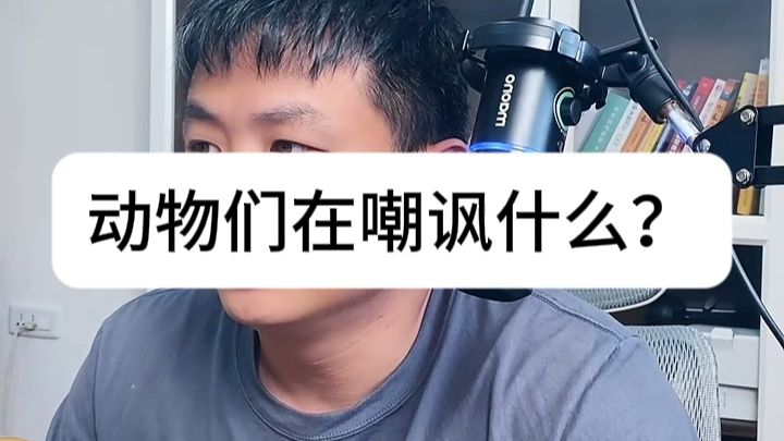 动物们在嘲讽什么？