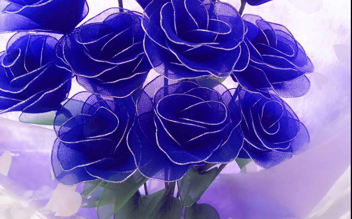 丝网花蓝色妖姬up主的首发莫嫌弃哈