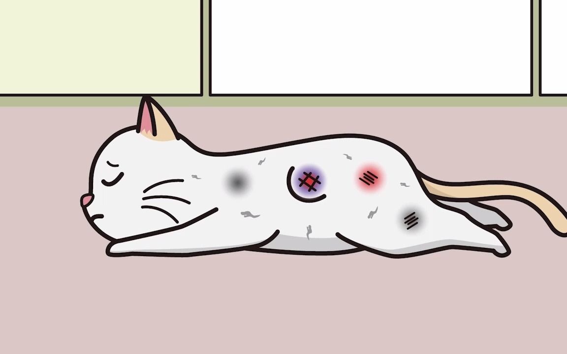 男人看到一只受伤的小猫,还联系了小猫的主人