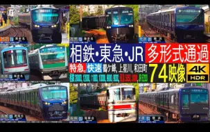 Download Video: 【日本铁路高速通过集】相铁・JR・东急直通线各站 E233系 12000系 20000系 5050系 3000系 特急 急行 快速 普通 列车通过集