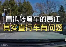 Tải video: 看似转弯车的责任，其实直行的问题