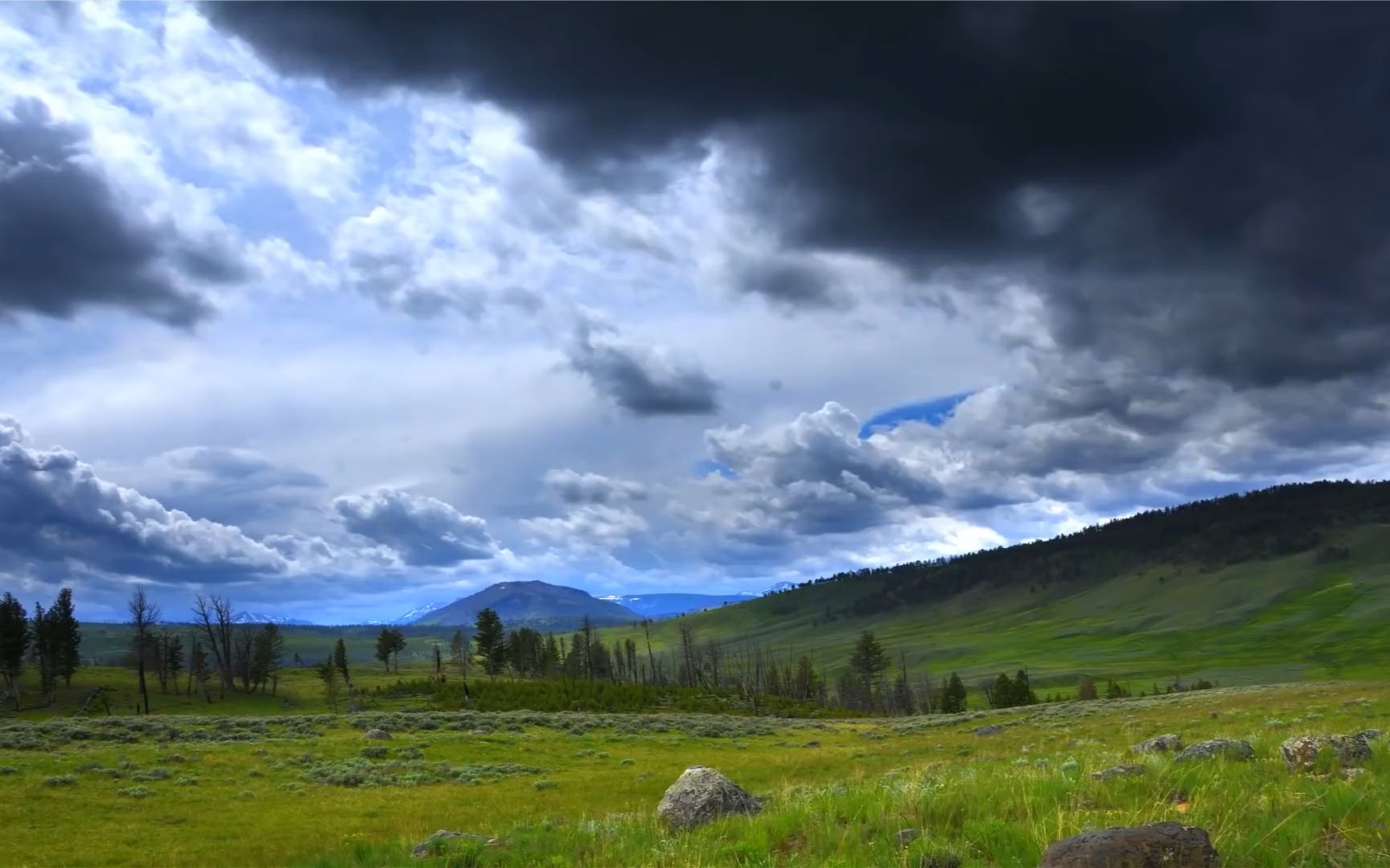 两分钟让眼睛和心灵放松