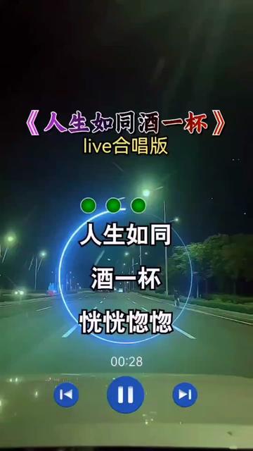 人生如同酒一杯#伤感音乐 #歌词句句入心