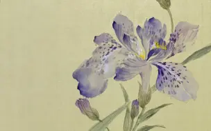 Скачать видео: 花开花落终有时～鸢尾花，小写意，国画。