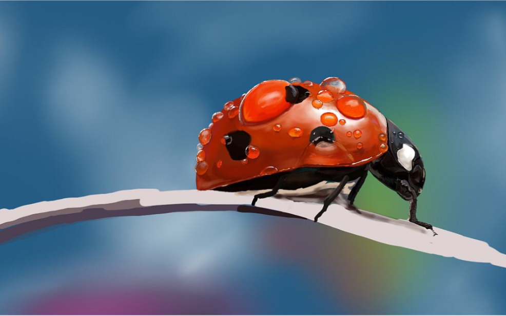 【星空美学馆儿童美术创意课程】绘本之瓢虫侠大拯救