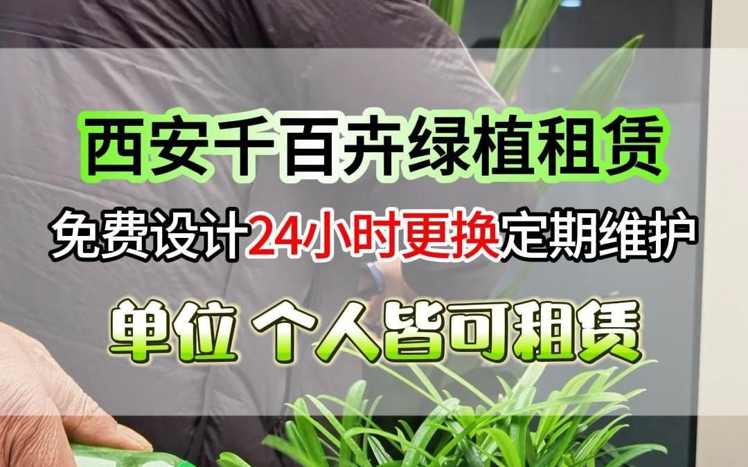 绿植租摆,让你的办公室更有氧气、更舒适.哔哩哔哩bilibili