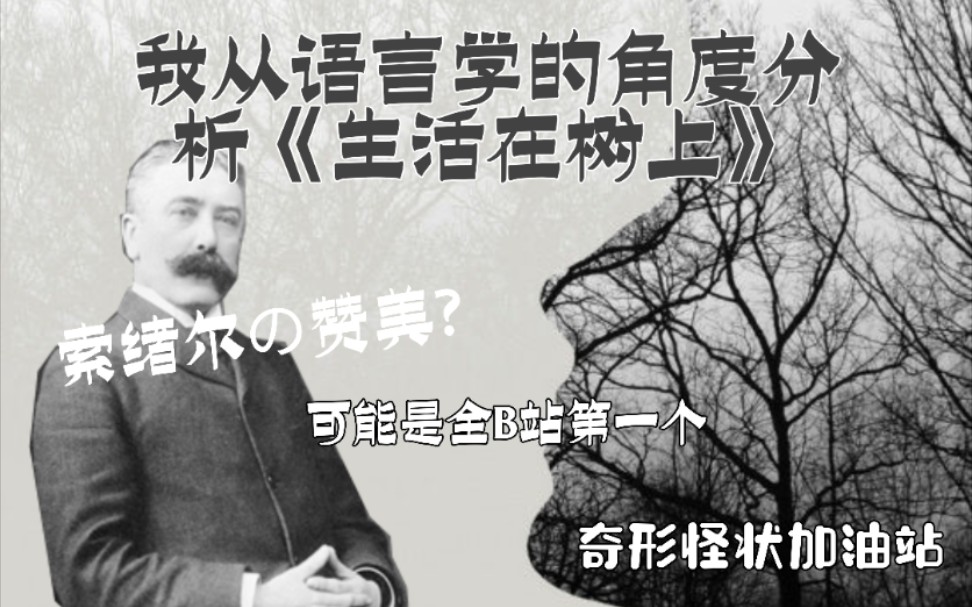 从语言学角度分析浙江省满分作文《生活在树上》哔哩哔哩bilibili