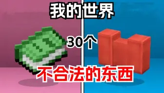 我的世界：30个不合法的东西