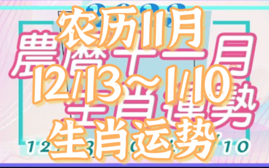 【农历11月ⷧ”Ÿ肖运势】2023癸卯水兔年农历11月(12/13~/1/10)12生肖工作运、健康运、感情运、金钱运、幸运色、贵人生肖!运势前三名的生肖是…哔...