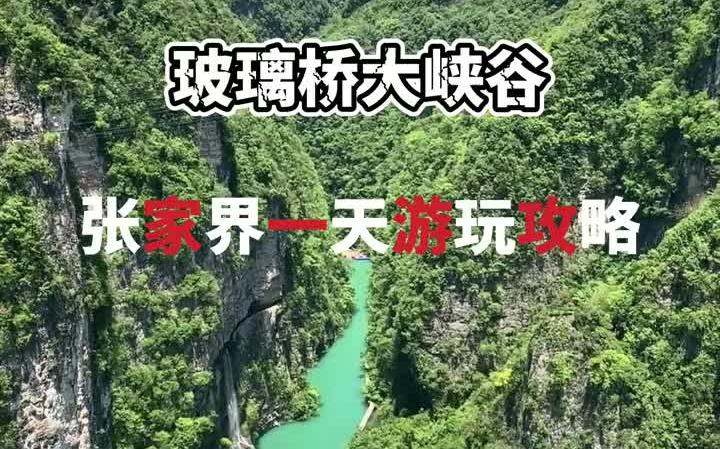 大峡谷玻璃桥~ 张家界旅游攻略哔哩哔哩bilibili