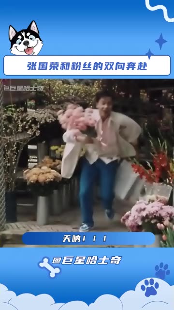 春天该很好 若你尚在场哔哩哔哩bilibili