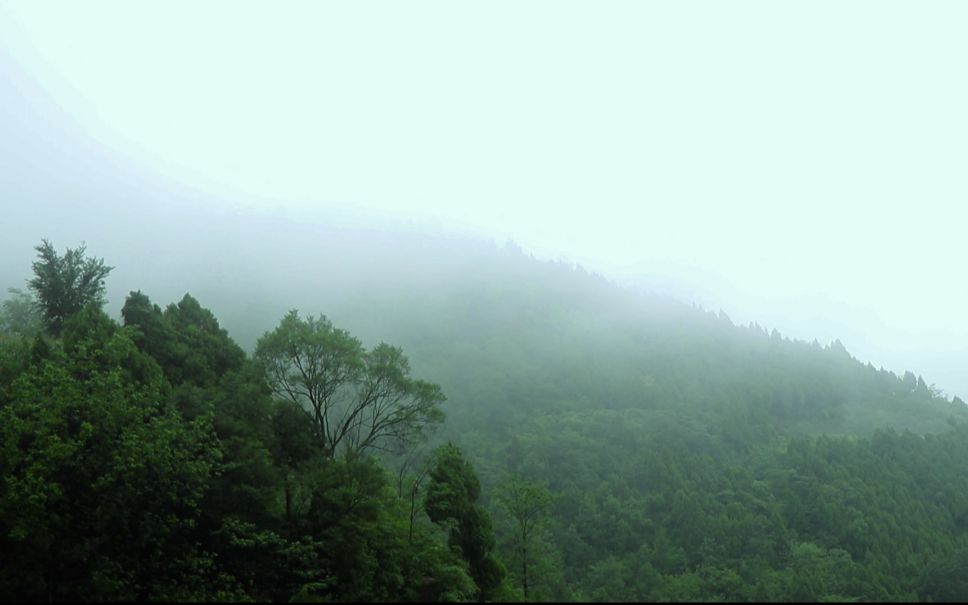 [图]【山野纪】暴雨季节的山林生活