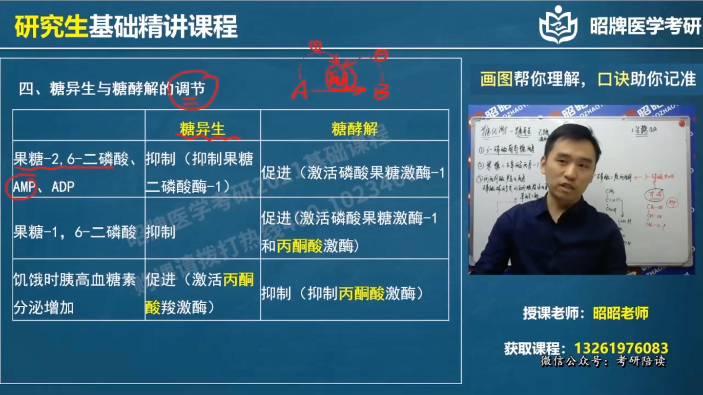 [图]糖酵解和糖异生对比_生物化学与分子生物学_昭昭