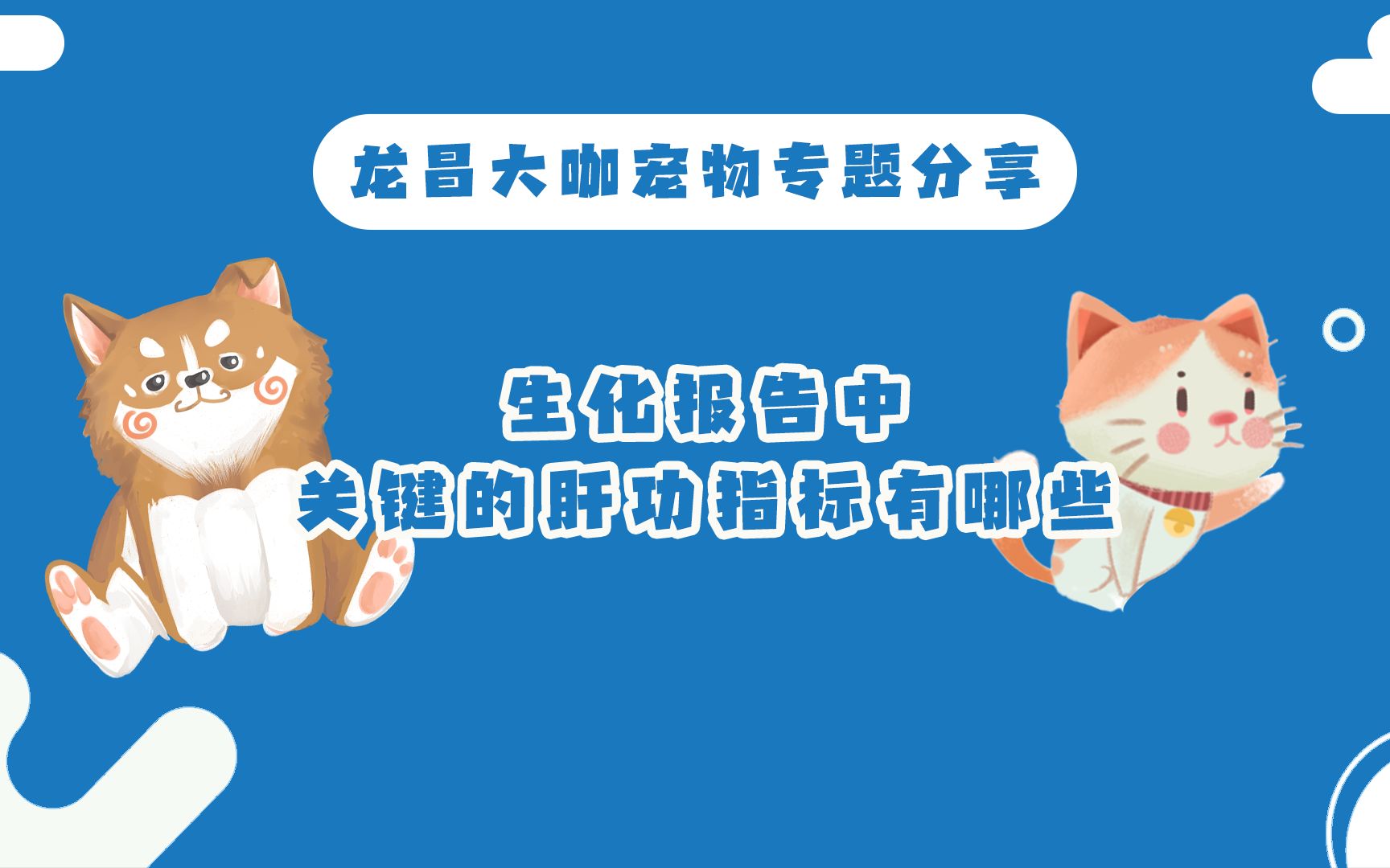 生化检查中,GGT指标在猫和犬中有何不同?哔哩哔哩bilibili