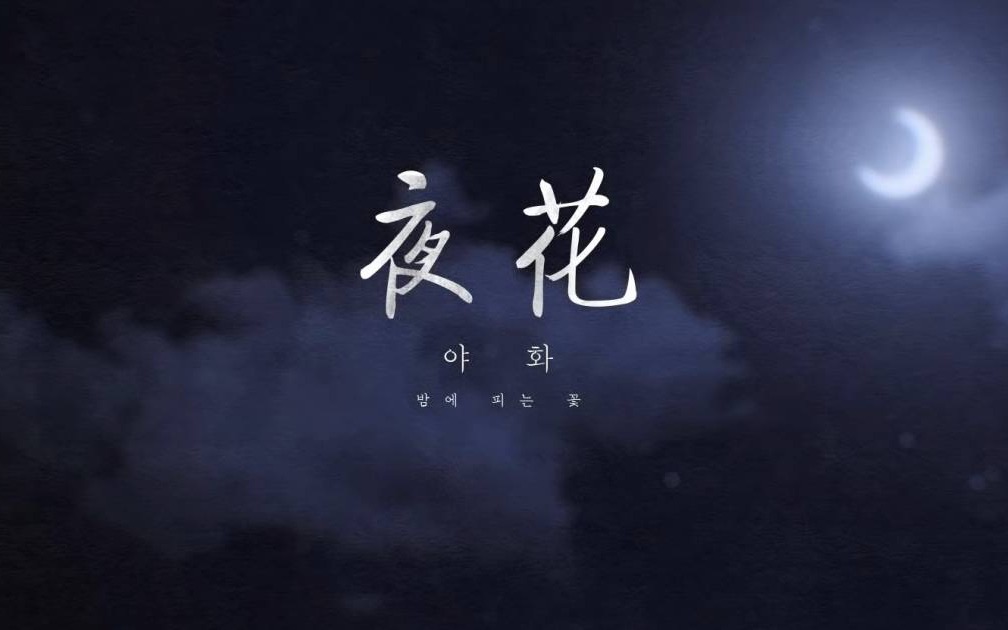 [MV]安艺恩  夜花【1080P】【中韩双语】【神叨字幕组】哔哩哔哩bilibili