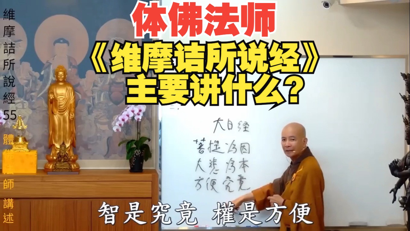 体佛法师:《维摩诘所说经》主要讲什么?哔哩哔哩bilibili