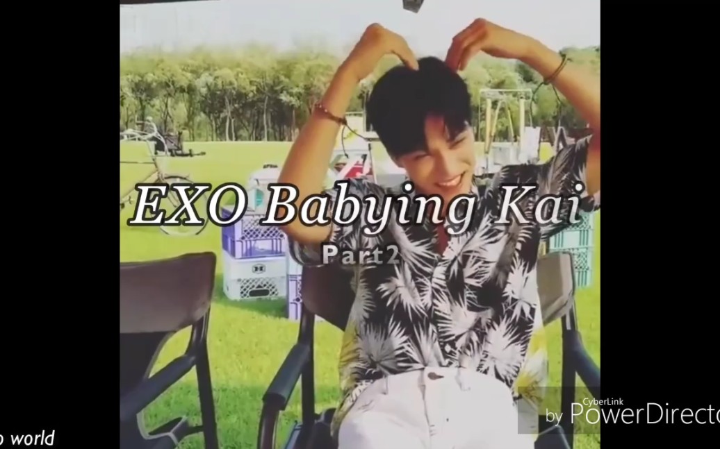 【EXO/KAI】EXO宝宝篇之——钟仁篇 快乐的熊仔来啦哔哩哔哩bilibili