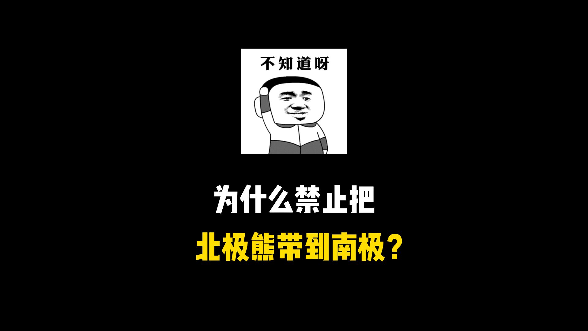 为什么禁止把北极熊带到南极?哔哩哔哩bilibili