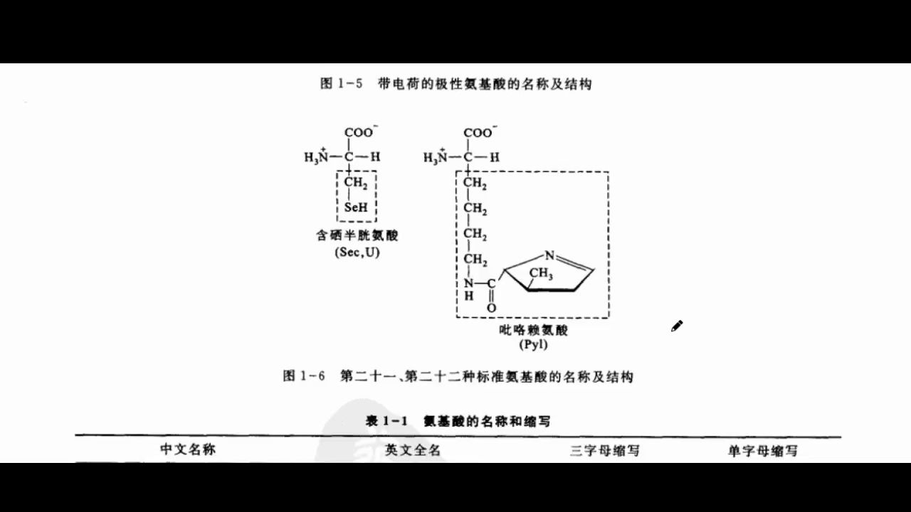 生物化学课本(杨荣武)朗读哔哩哔哩bilibili