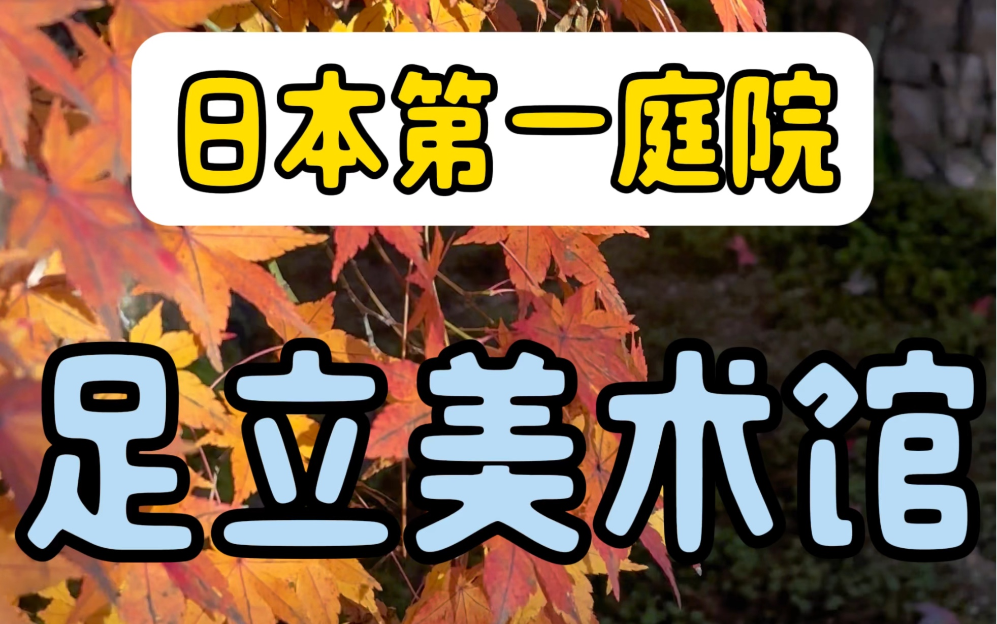 连续20年,被评为日本第一庭院【足立美术馆】哔哩哔哩bilibili