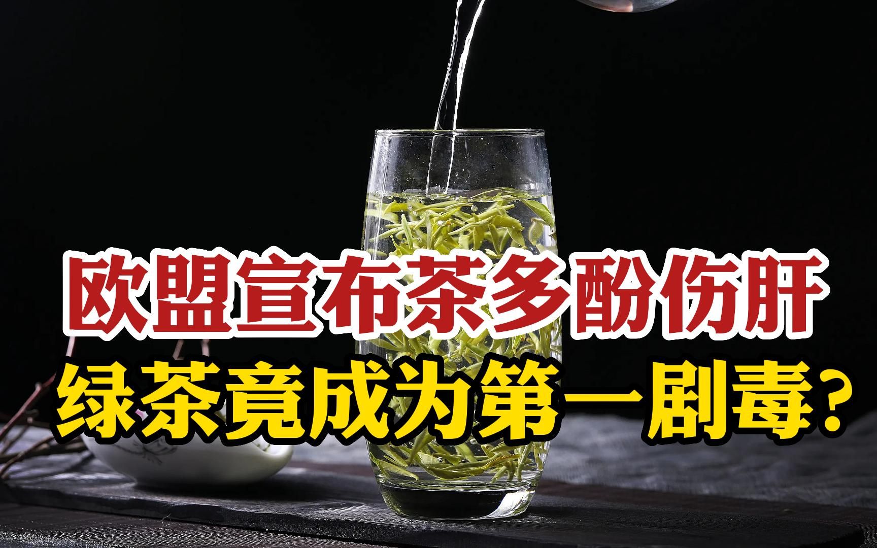 欧盟宣布茶多酚伤肝,绿茶竟成为第一“剧毒”?绿茶还能喝吗?哔哩哔哩bilibili