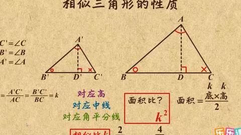 相似三角形的面积比 哔哩哔哩