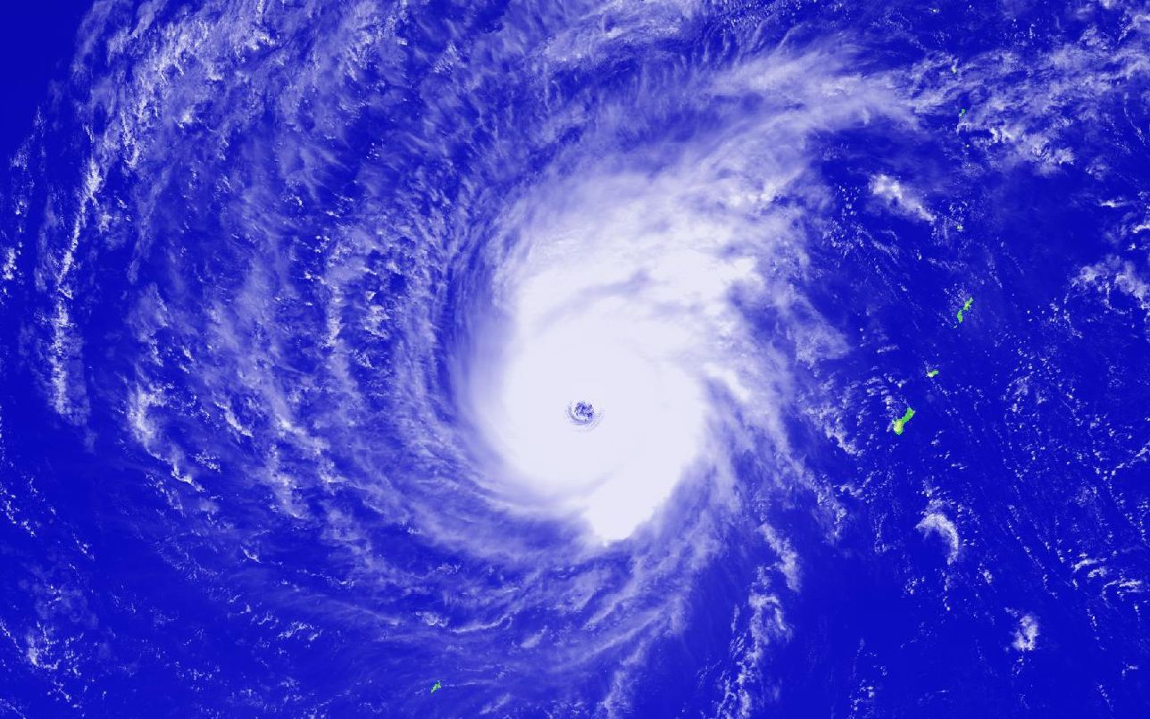 2019年西北太平洋第2号台风"蝴蝶(wutip)"近乎全程ir云图动画