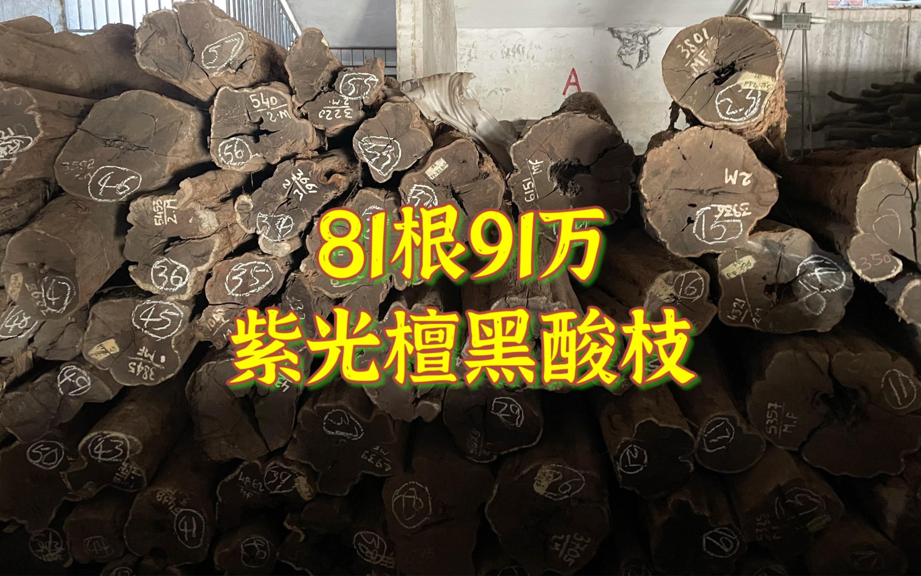 买了81根紫光檀红木,花掉91万,一车木头一套家具哔哩哔哩bilibili