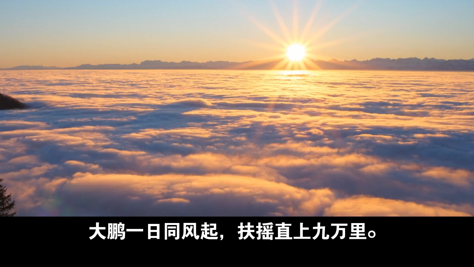 大鹏一日同风起