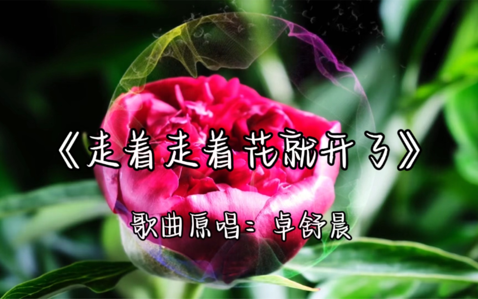 [图]《走着走着花就开了》卓舒晨的完整版，我们走着走着花就开了