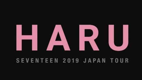Seventeen 1080P】SEVENTEEN 2019 World Tour 