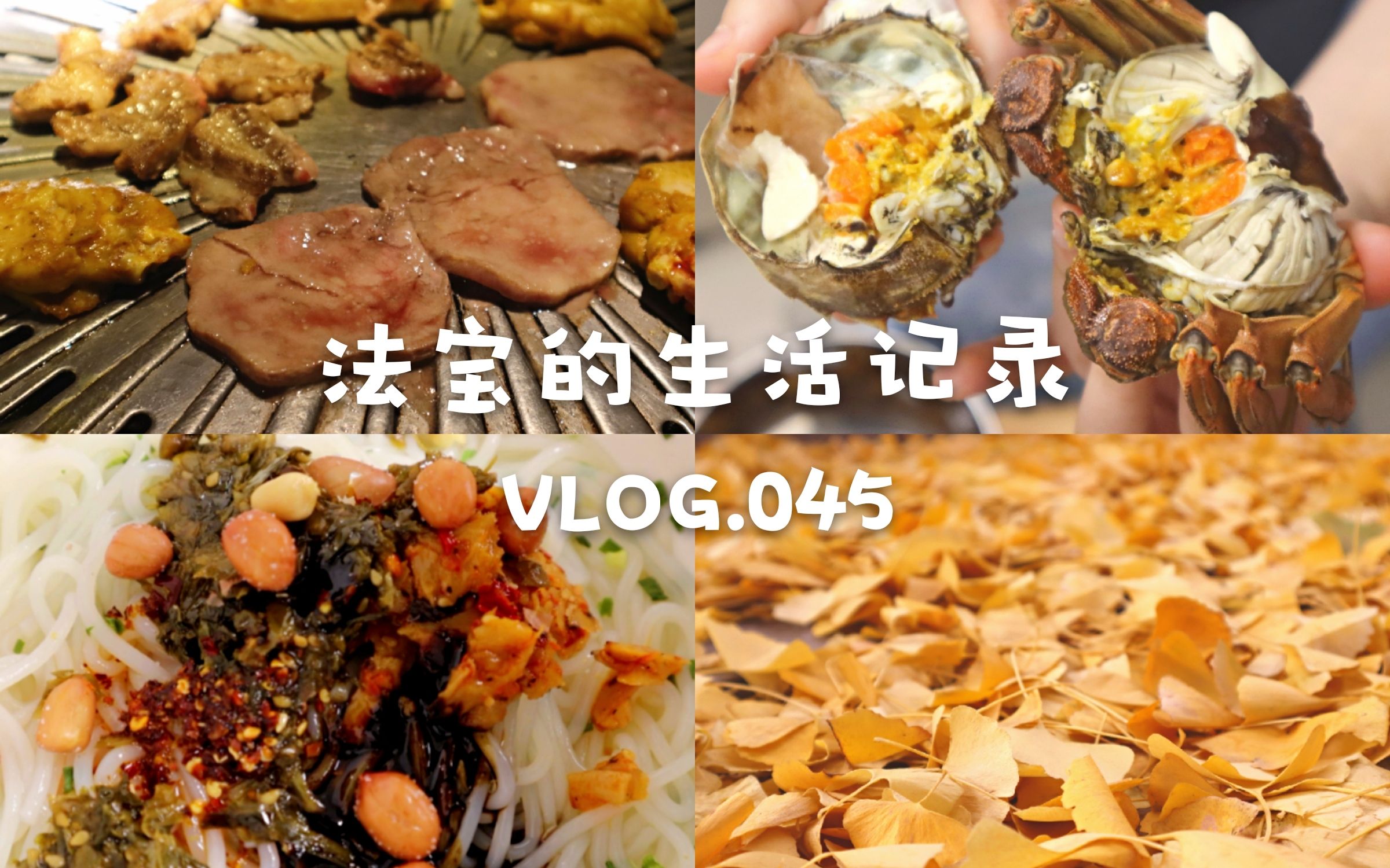 法宝VLOG#045|研究生日常|烤肉|大闸蟹|双十一第一波开箱|我都买了|啥超好吃的南昌拌粉|秋日剪影哔哩哔哩bilibili