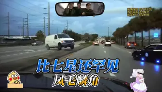 弗罗里达偶尔也养闲人