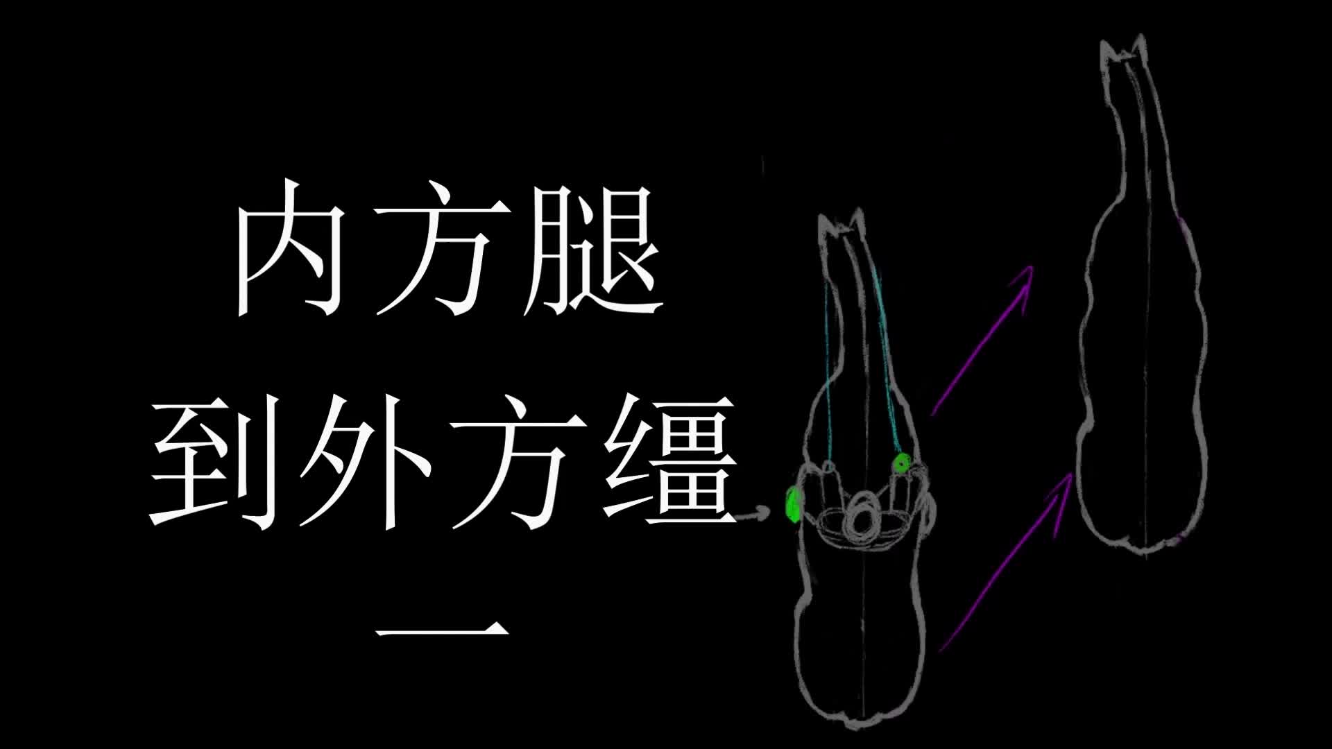 H内方腿到外方缰绳1哔哩哔哩bilibili