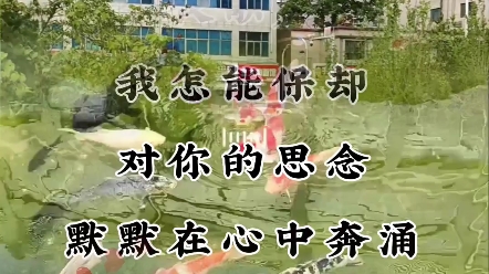 [图]往日的旧梦送给家人们希望你能喜欢