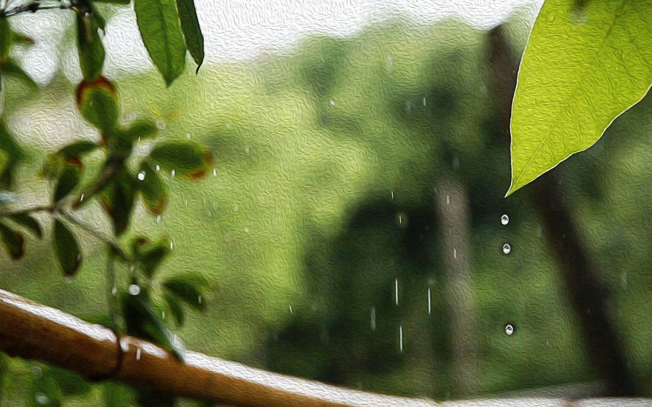 [图]柳丝长，春雨细，鸟啼花落又一春